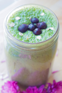 Lactation Smoothie (Vegan, Keto, Low-Carb)