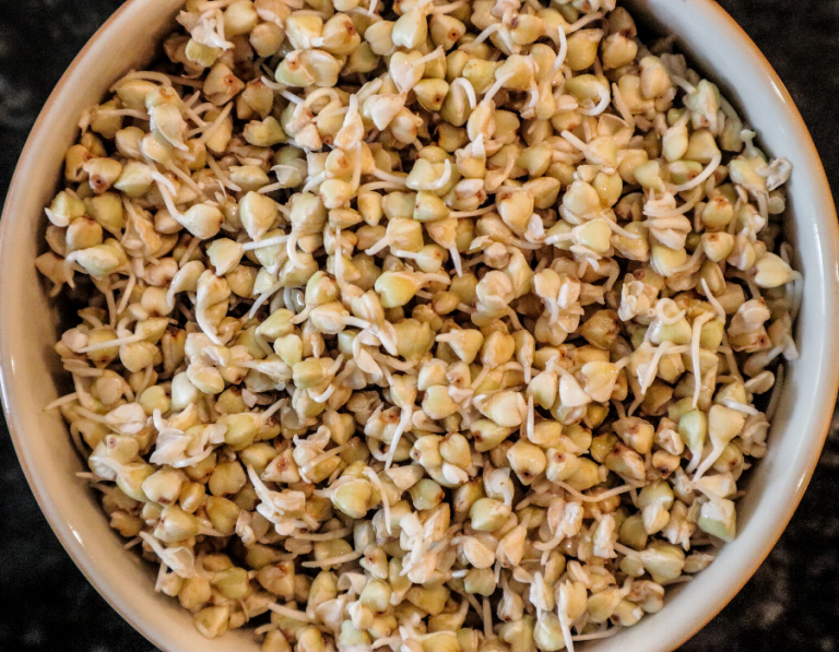 How To Sprout Buckwheat | Pure Living Nutrition