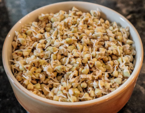 Sprouted Buckwheat