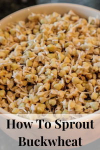 How to Sprout Buckwheat